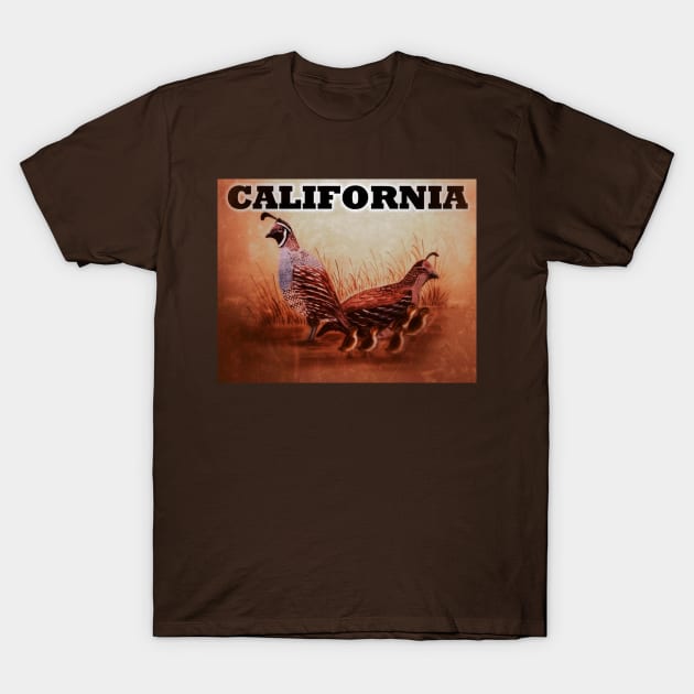 California Quail T-Shirt by Matt Starr Fine Art